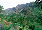 La Gomera, Vallehermoso im Nordteil der Insel – das Tal ist grün und äußerst fruchtbar. : Palmen, Tal, Häuser